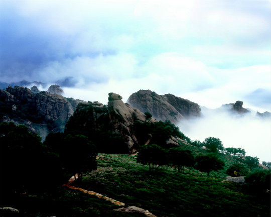 青山美景
